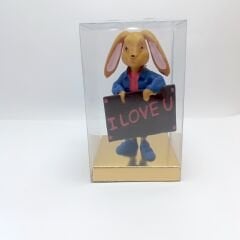 I love tabelalı tavşan