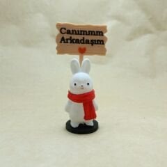 Atkılı Tavşan - Canım Arkadaşım