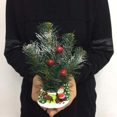 Çam Yapraklı,kokinalı- Noel Baba Saksı Yılbaşı Hediyesi