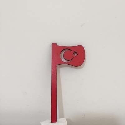 Türk Bayrağı