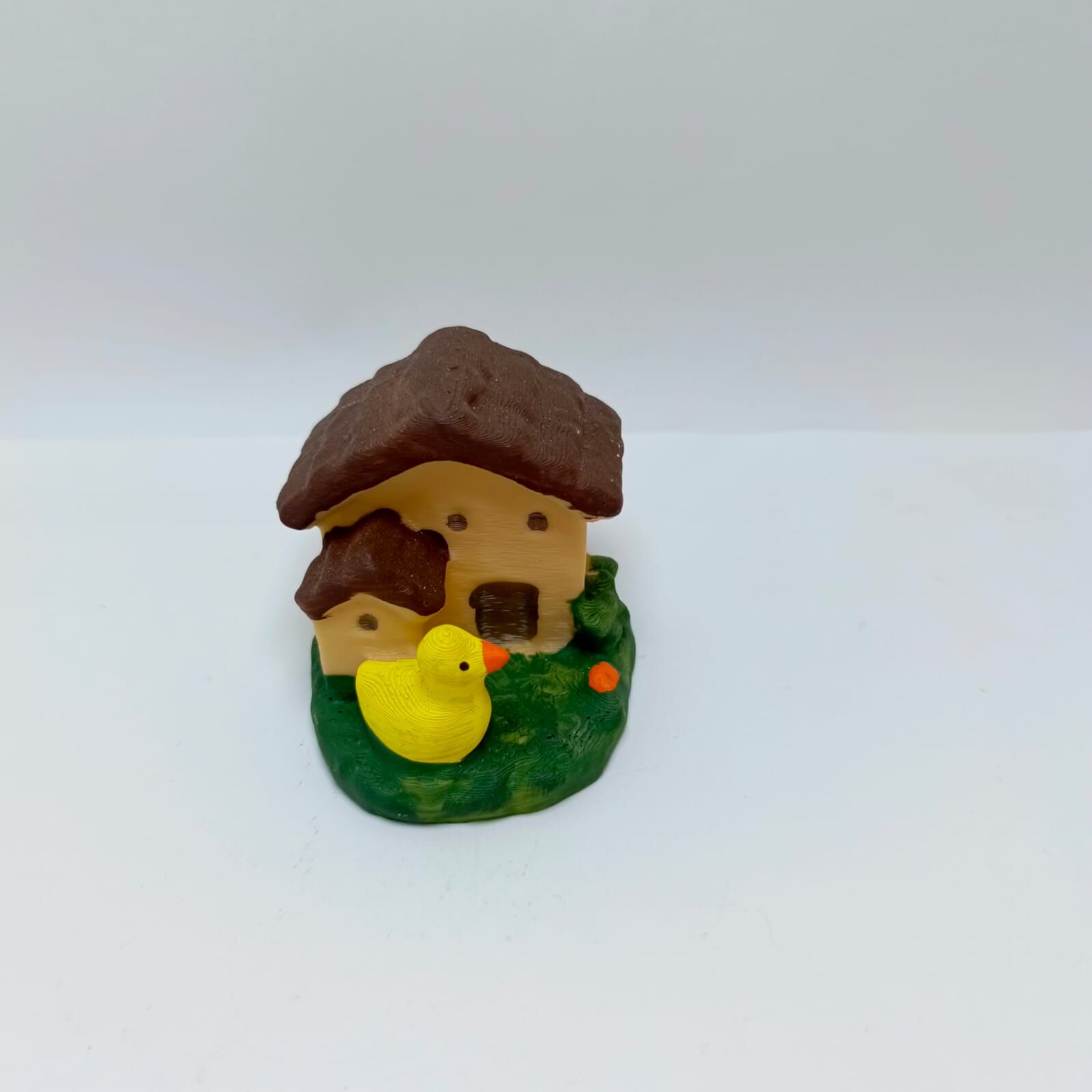 Ördekli Ev -Teraryum Malzemesi