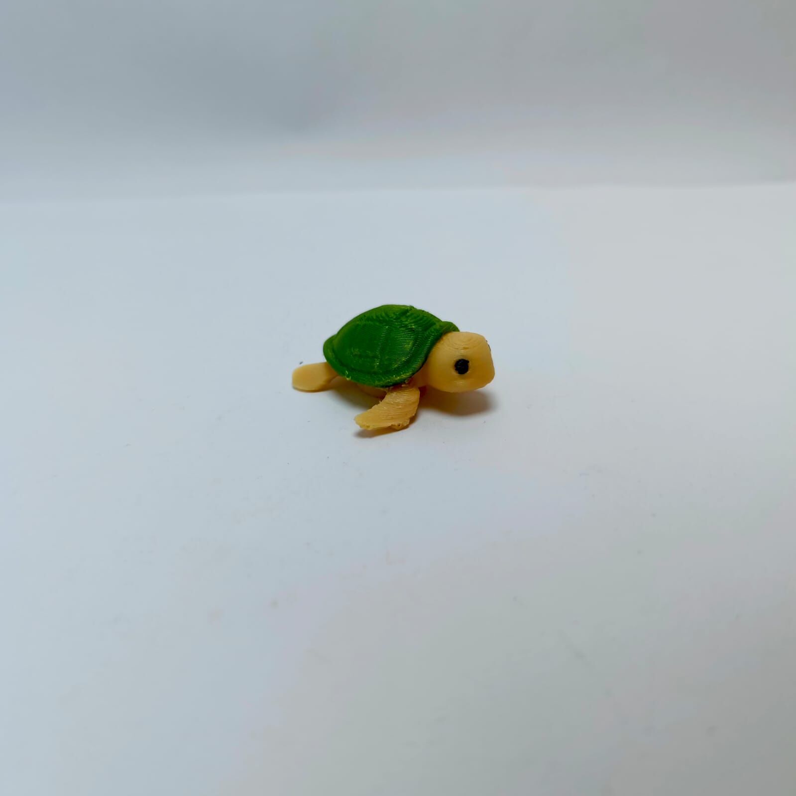 Sevimli Karetta Karetta Kaplumbağ-Teraryum Malzemesi