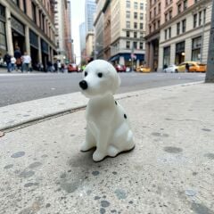 Dalmaçyalı Köpek-Teraryum Malzemesi