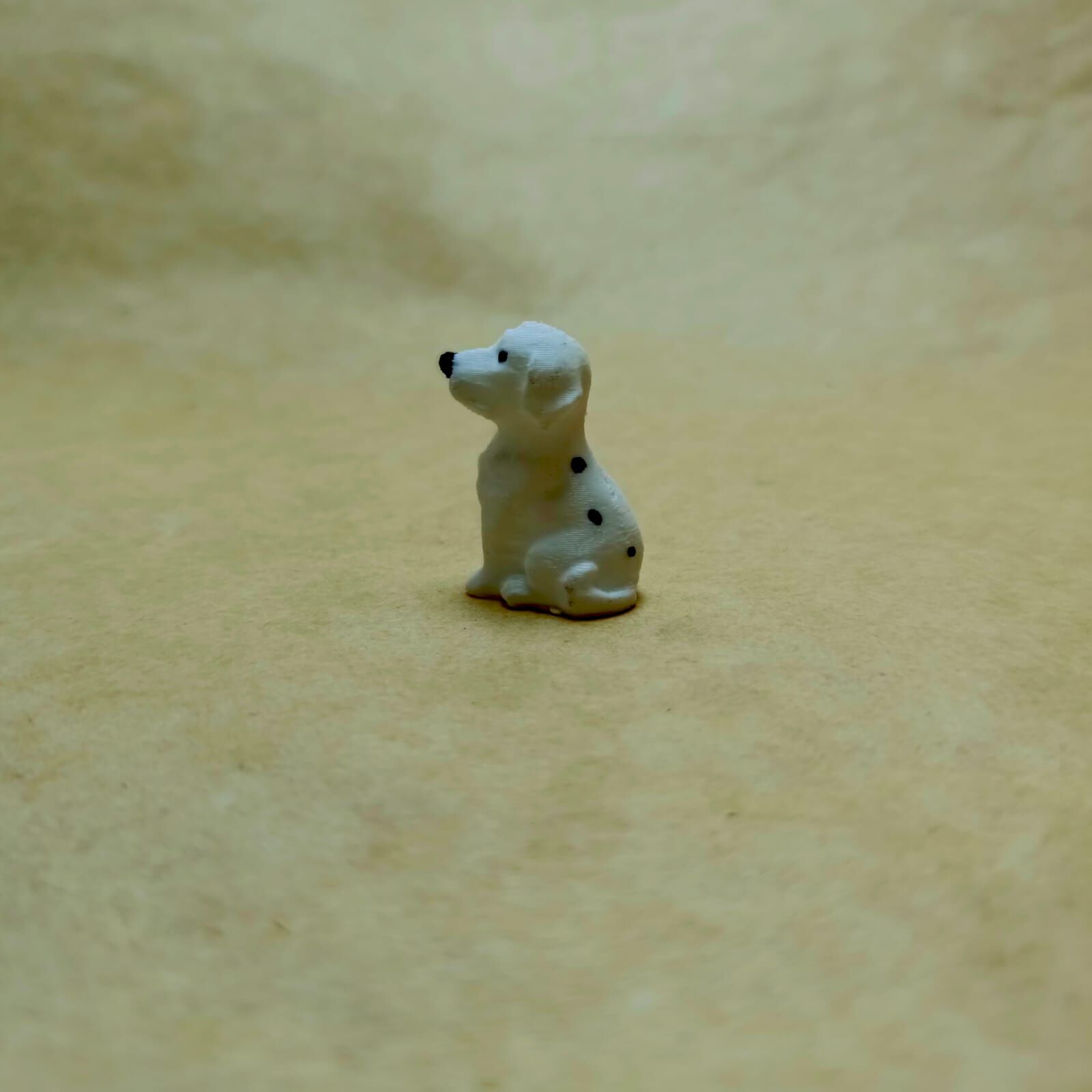 Dalmaçyalı Köpek-Teraryum Malzemesi