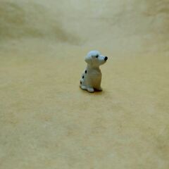 Dalmaçyalı Köpek-Teraryum Malzemesi