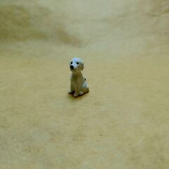 Dalmaçyalı Köpek-Teraryum Malzemesi