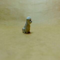 Sevimli Süs Köpeği -Teraryum Malzemesi