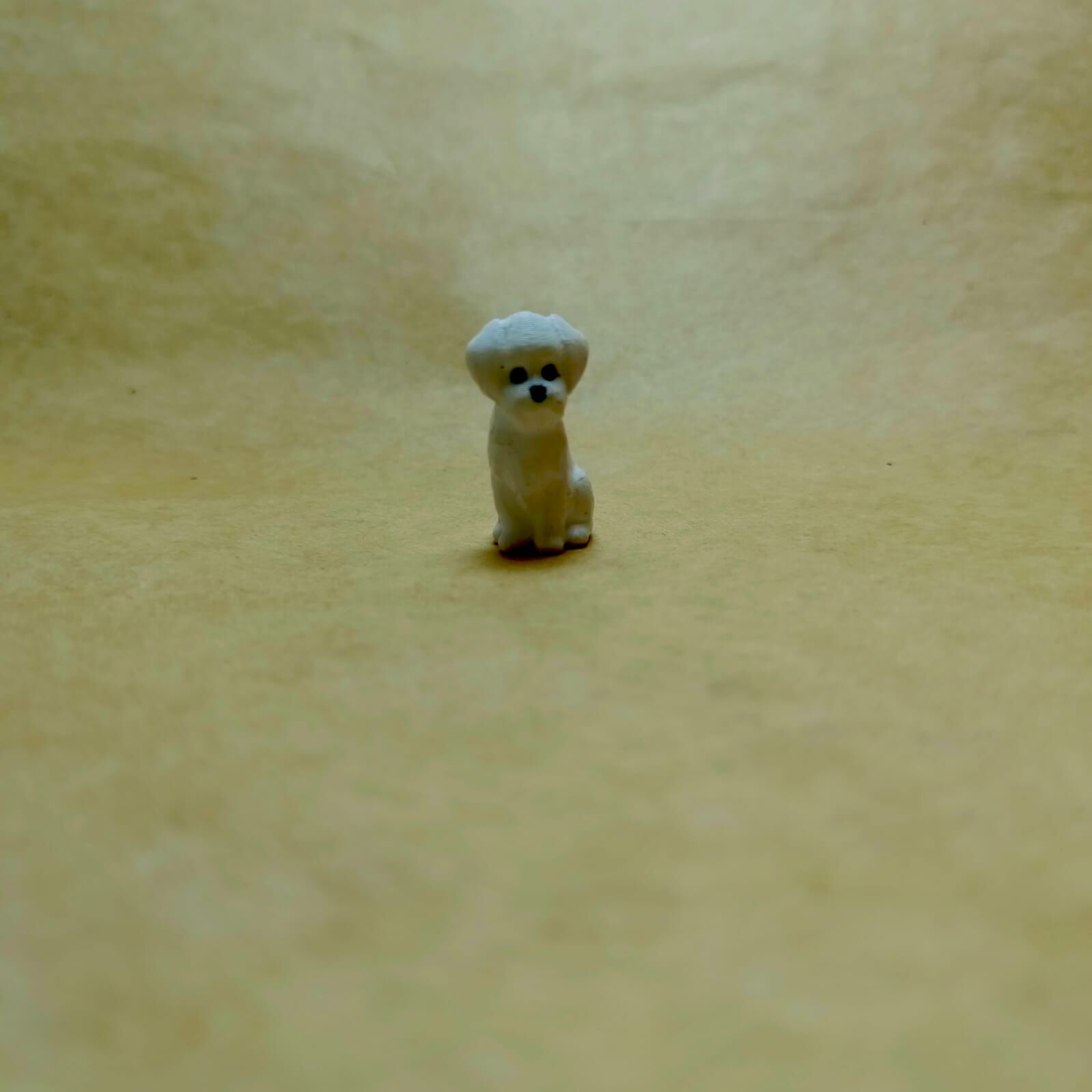 Sevimli Süs Köpeği -Teraryum Malzemesi