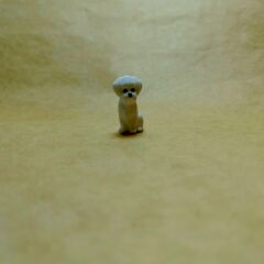 Sevimli Süs Köpeği -Teraryum Malzemesi