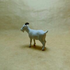 Keçi -Teraryum Malzemesi