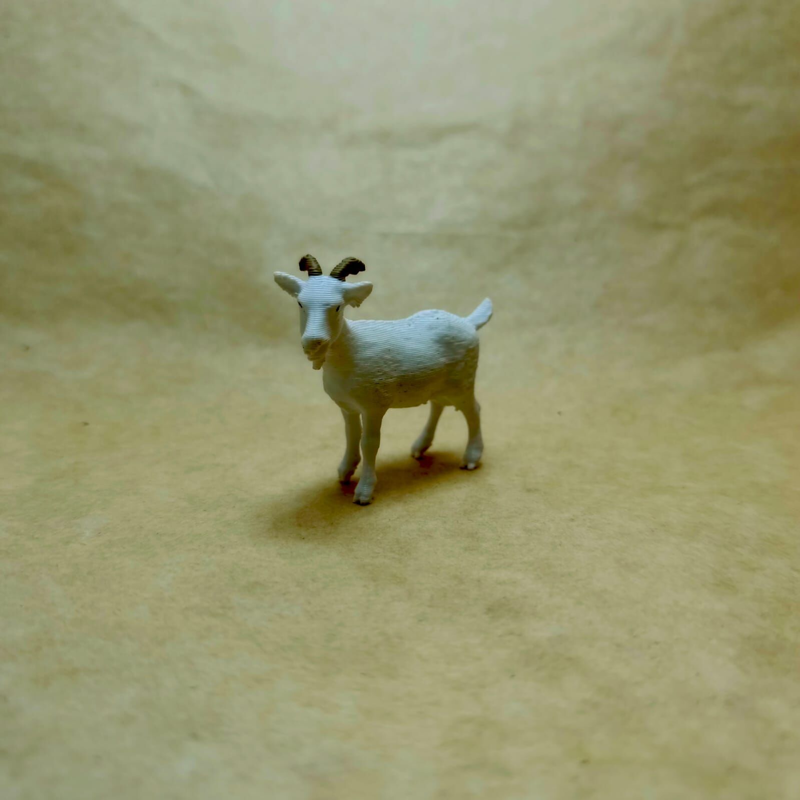 Keçi -Teraryum Malzemesi