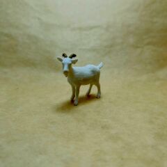 Keçi -Teraryum Malzemesi