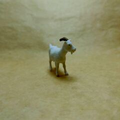 Keçi -Teraryum Malzemesi