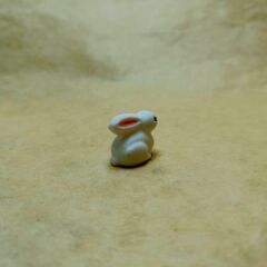 Mini Tavşan -Teraryum Malzemesi