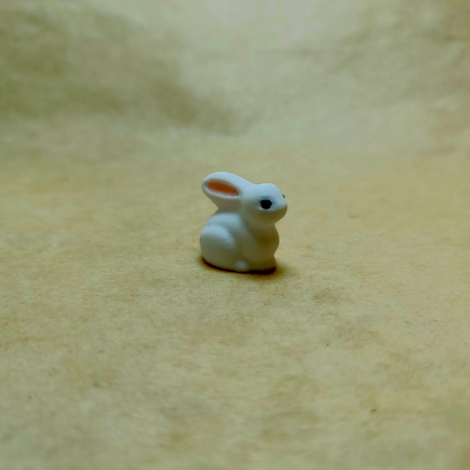 Mini Tavşan -Teraryum Malzemesi