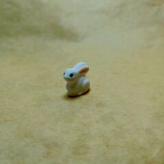 Mini Tavşan -Teraryum Malzemesi