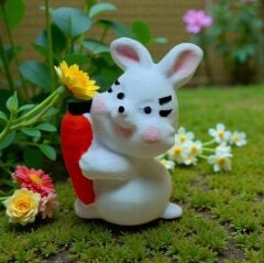 Havuçlu Tavşan - Teraryum Malzemesi