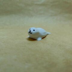 Fok-Beyaz - Teraryum Malzemesi