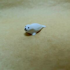 Fok-Beyaz - Teraryum Malzemesi