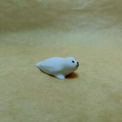 Fok-Beyaz - Teraryum Malzemesi