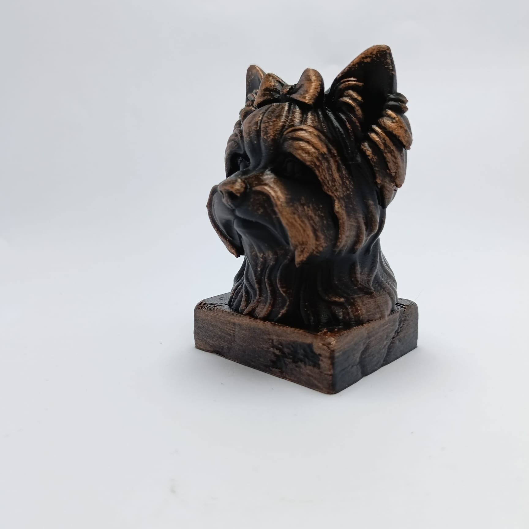 YORKSHIRE-SİYAH BÜST