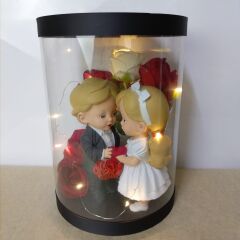 Sevgili Biblolu-Işıklı-Kutulu Güller 25cm