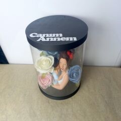 Işıklı Canım Annem Kutu Güller 25cm-Anneler Günü Hediyesi(Anne Oğul)