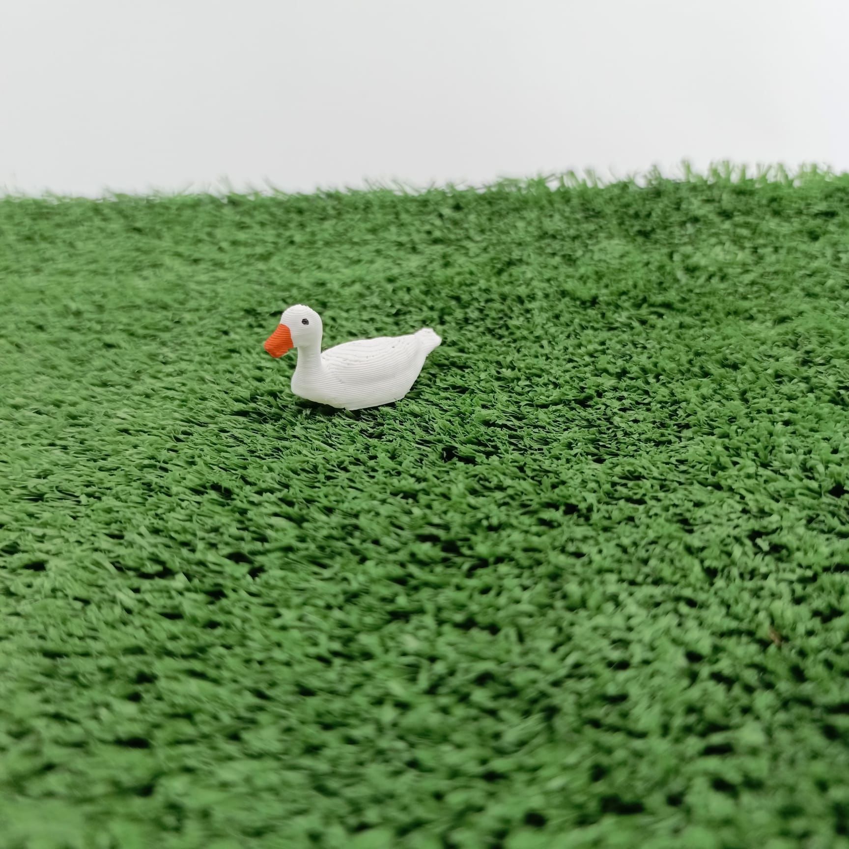 Ördek - Teraryum Malzemesi