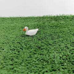 Ördek - Teraryum Malzemesi