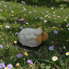 Koyun - Teraryum Malzemesi