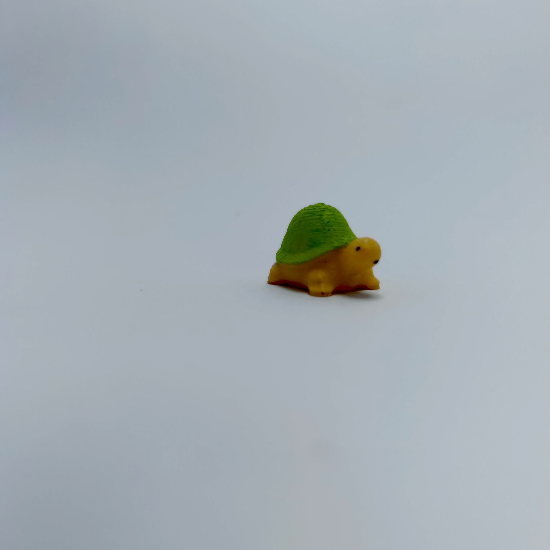 Mini Kaplumbağa - Teraryum Malzemesi