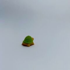 Mini Kaplumbağa - Teraryum Malzemesi