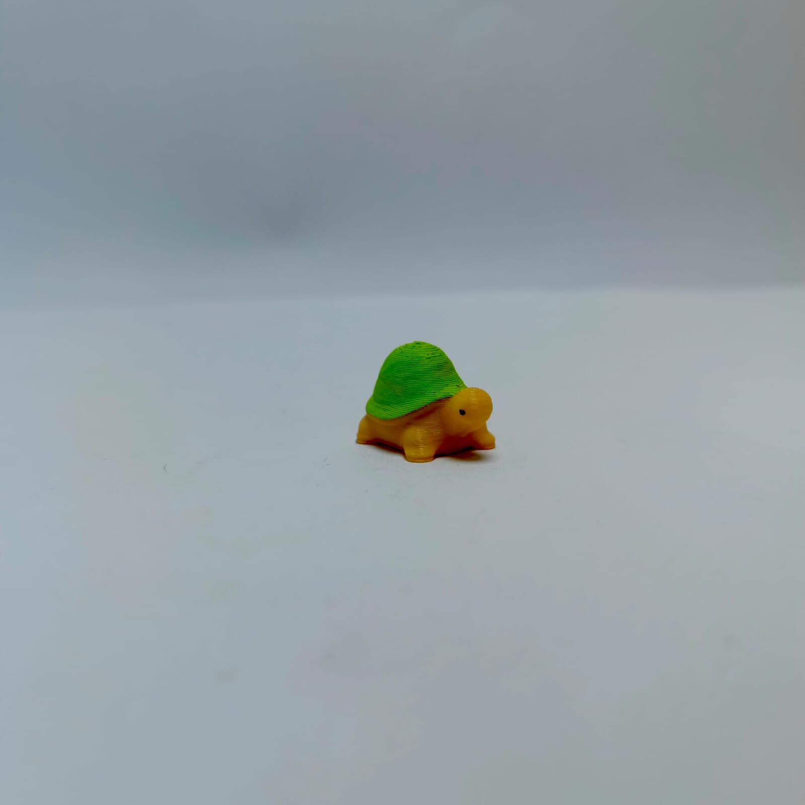 Mini Kaplumbağa - Teraryum Malzemesi