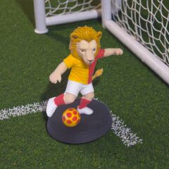 Asetat Kutulu-Futbol Toplu Aslan - Biblo