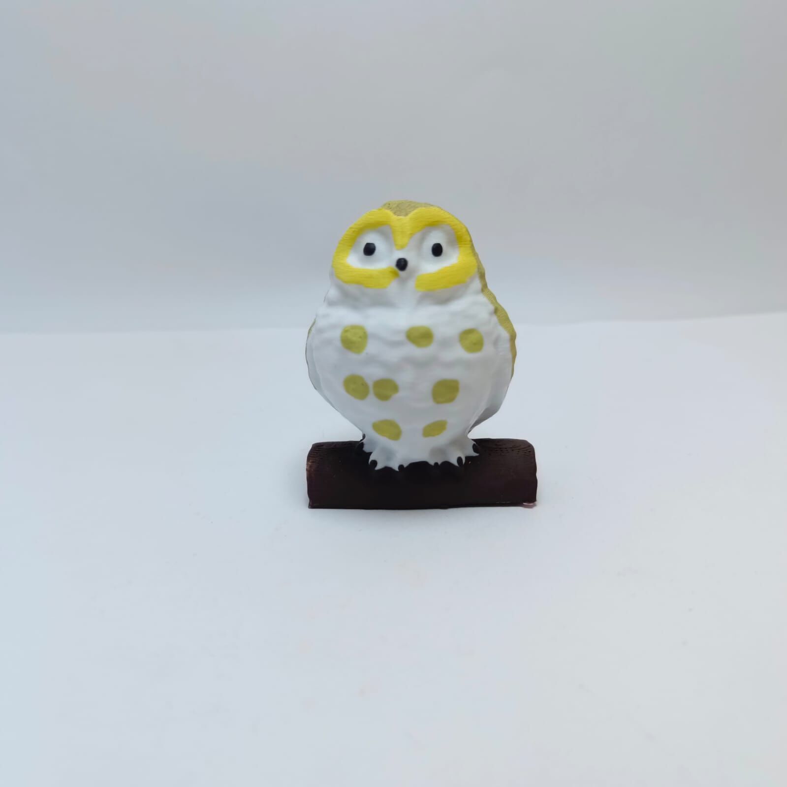 Baykuş-Teraryum Malzemesi