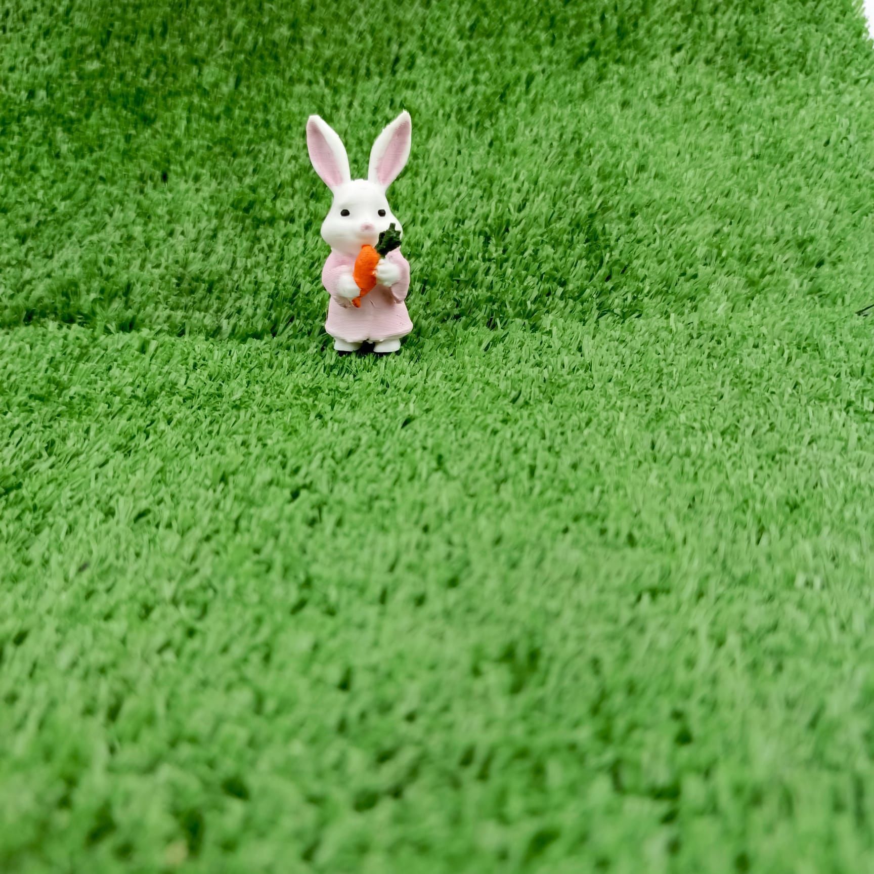 Pembe Tavşan - Teraryum Malzemesi