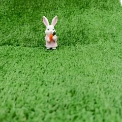 Pembe Tavşan - Teraryum Malzemesi