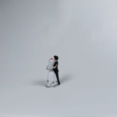 Büyük Gelin Damat - Teraryum Malzemesi