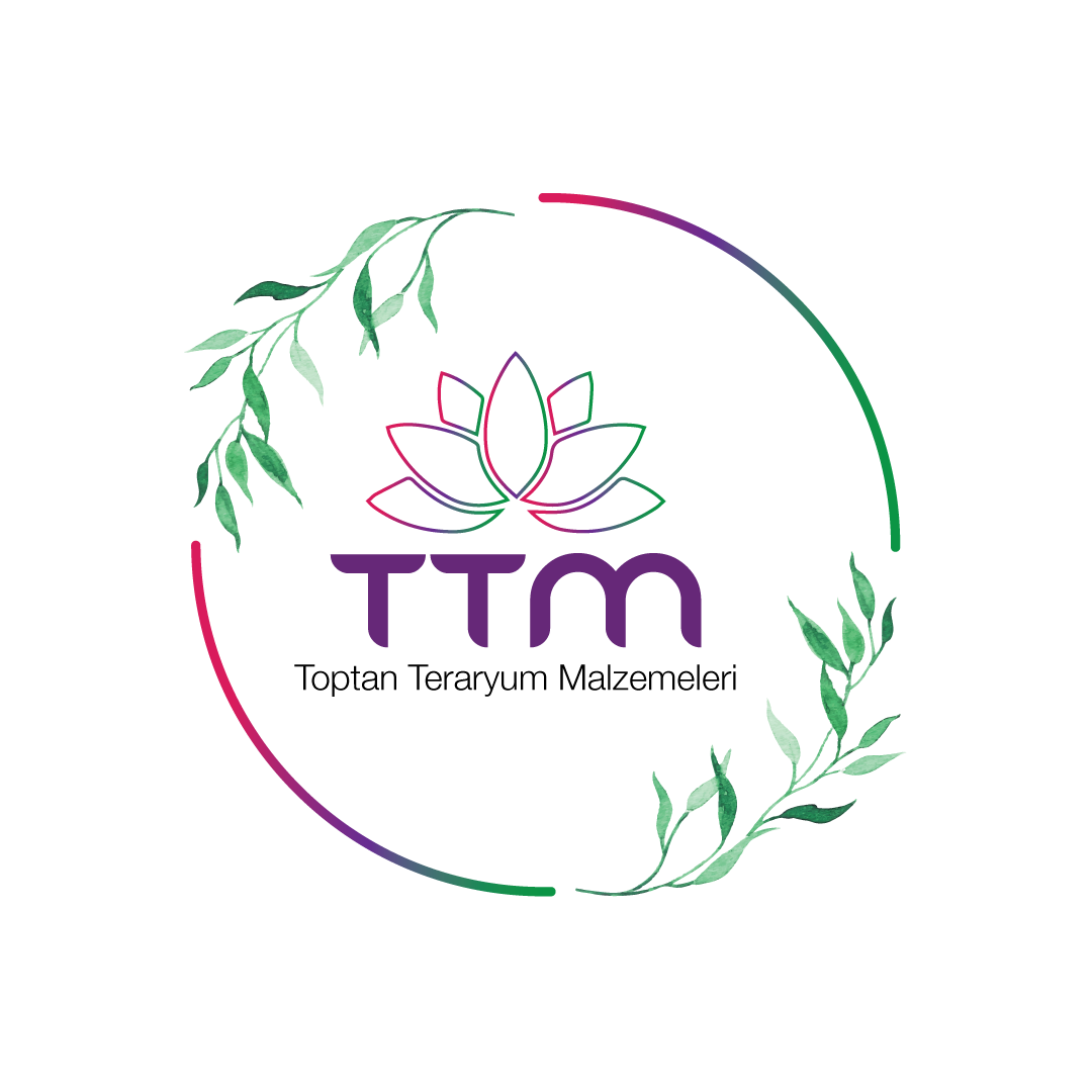 Boyalar ve Yardımcı Malzemeler